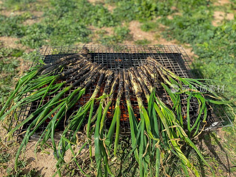 Cooking ‘calçots’ being grilled over a hot fire at home